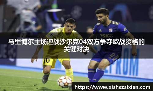 马里博尔主场迎战沙尔克04双方争夺欧战资格的关键对决